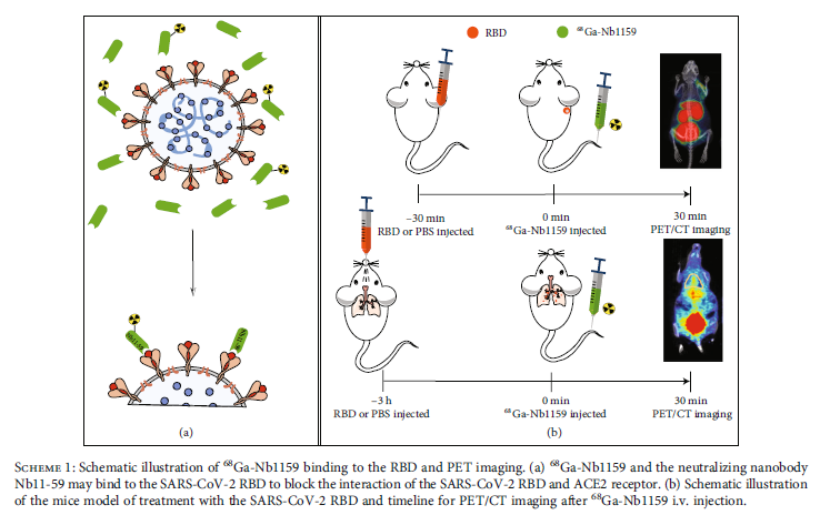 图示

描述已自动生成