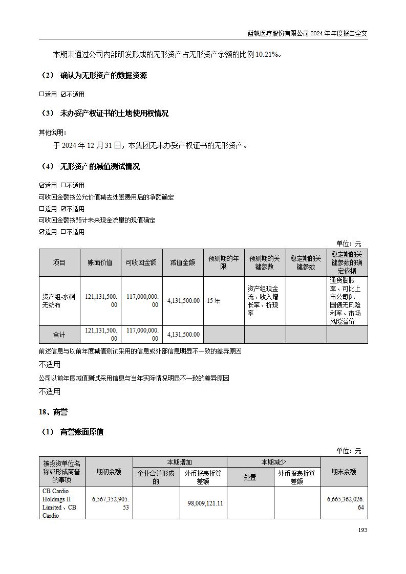 13-2024年年度报告_193
