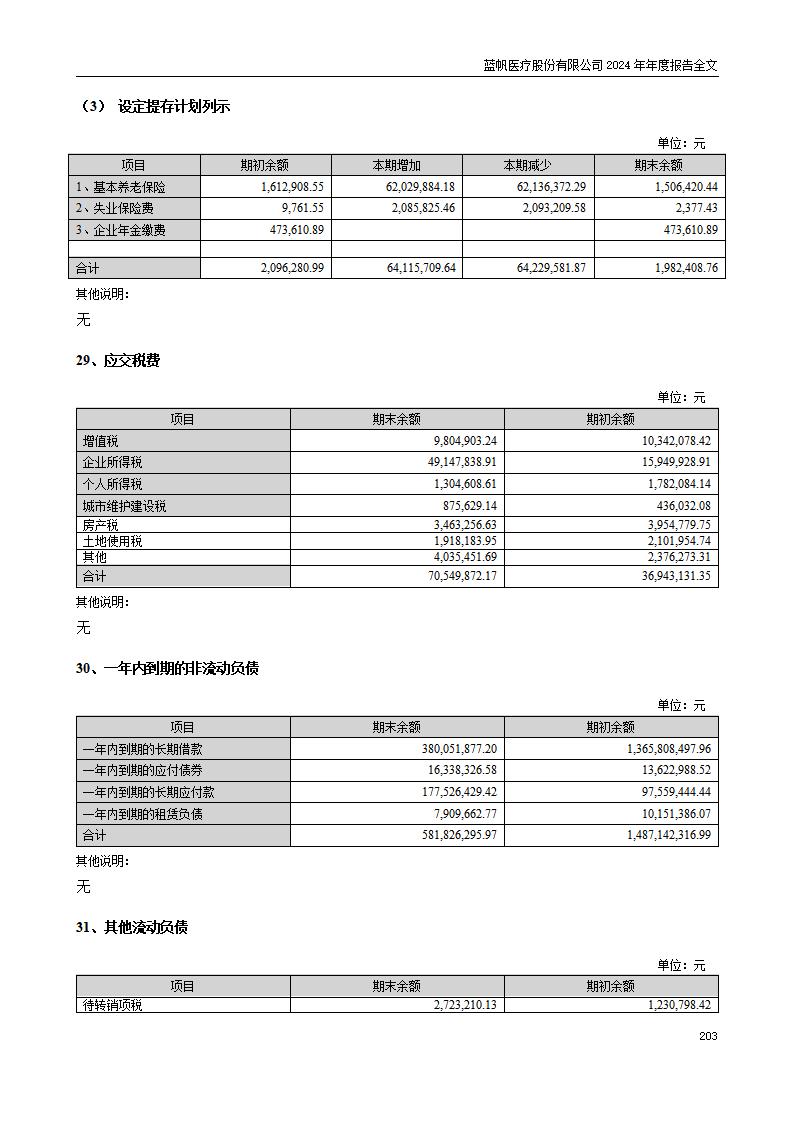 13-2024年年度报告_203