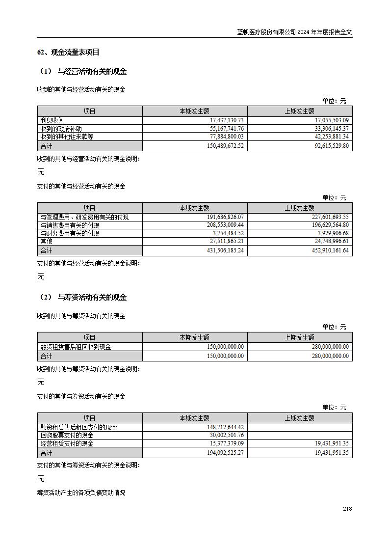 13-2024年年度报告_218