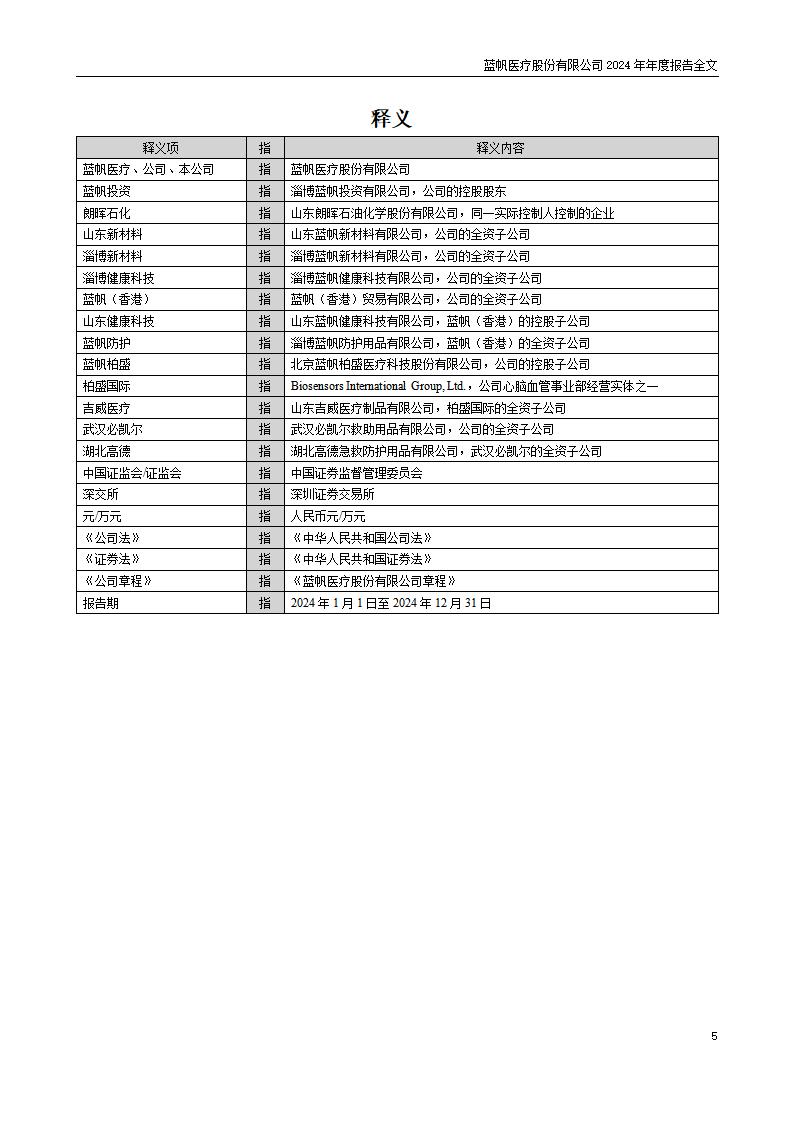 13-2024年年度报告_05