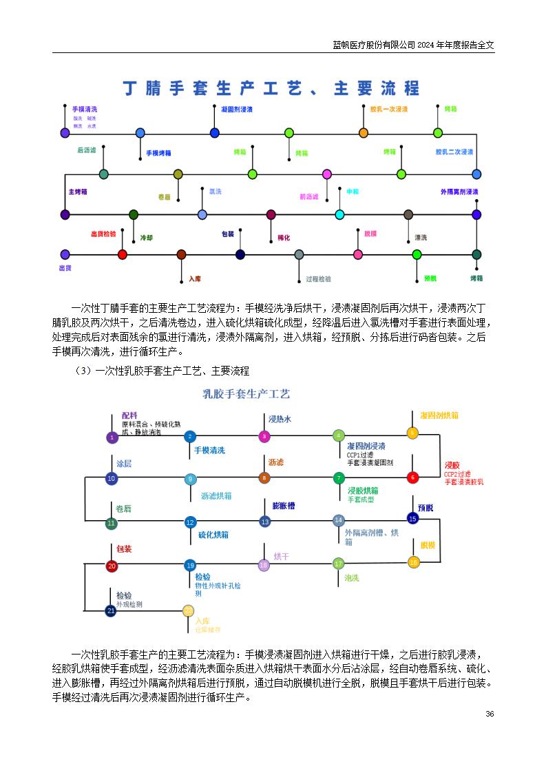 13-2024年年度报告_36
