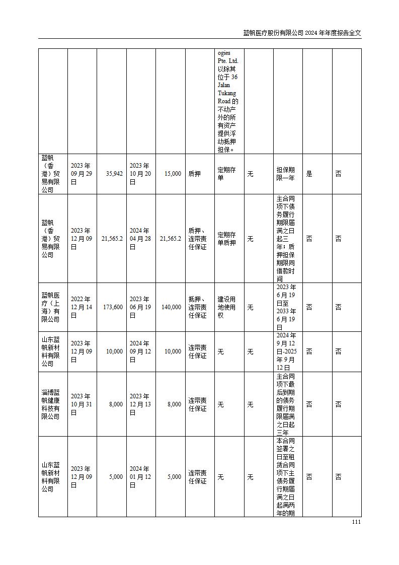 13-2024年年度报告_111