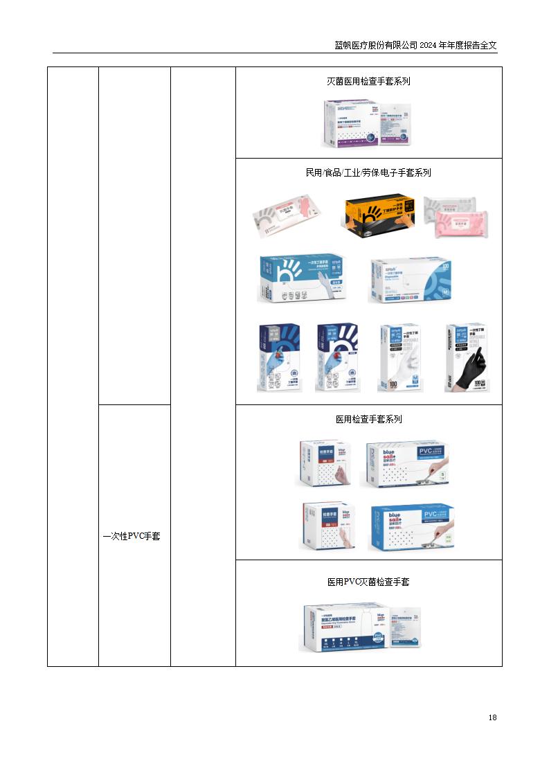 13-2024年年度报告_18
