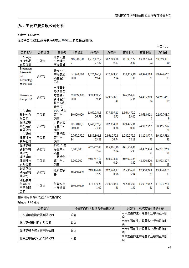 13-2024年年度报告_62