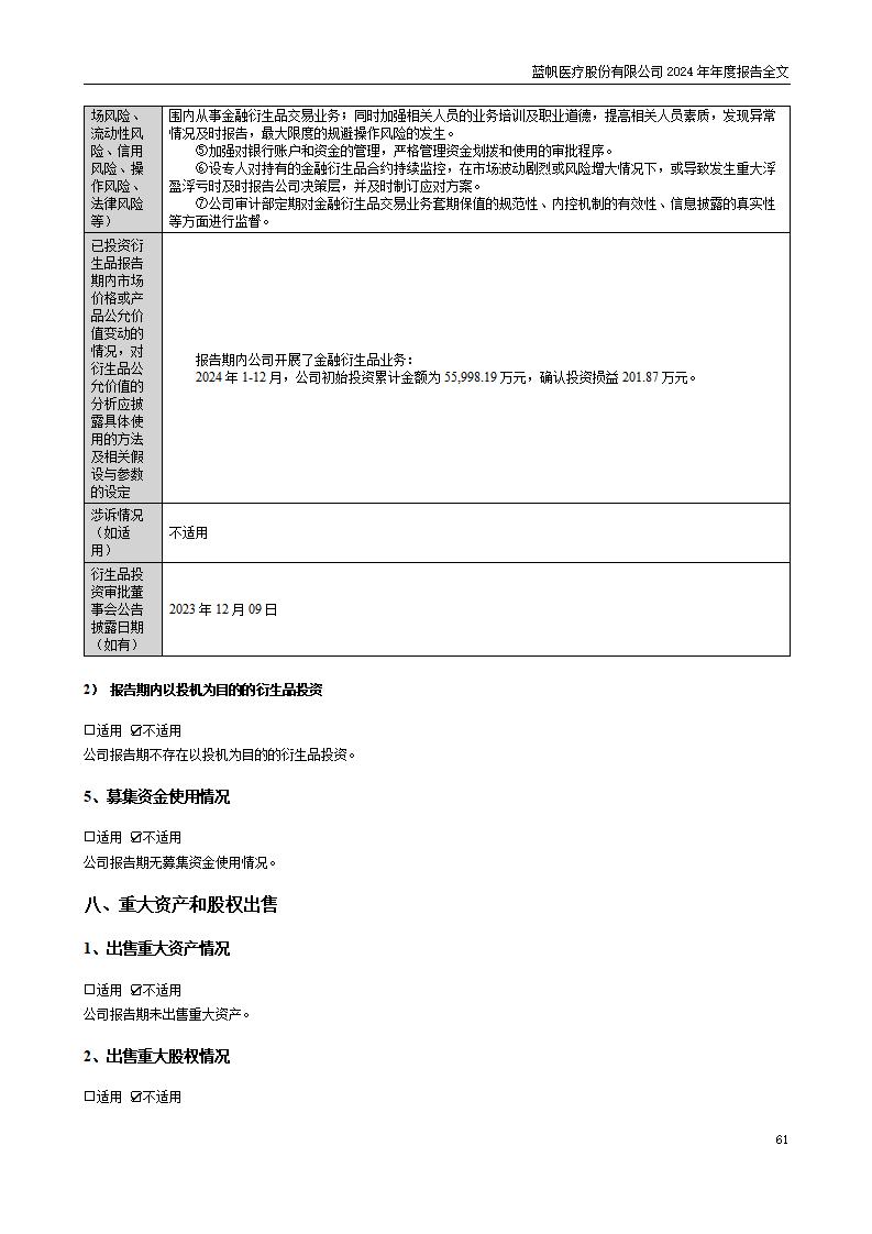 13-2024年年度报告_61