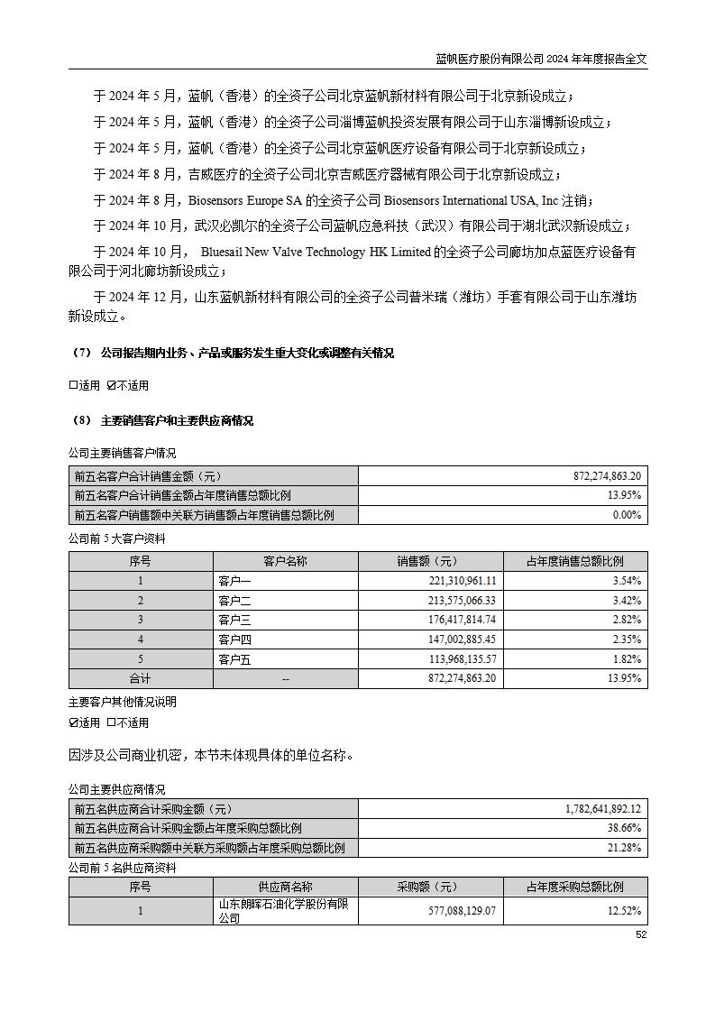 13-2024年年度报告_52