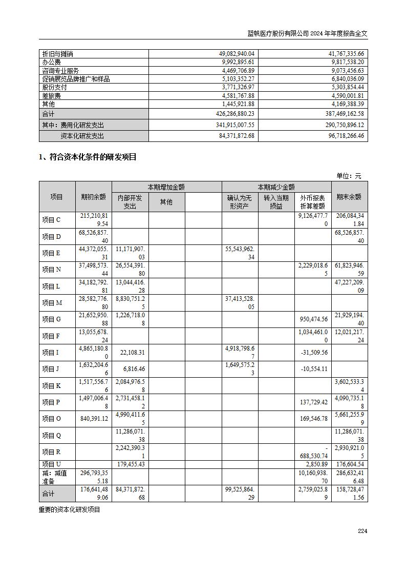13-2024年年度报告_224