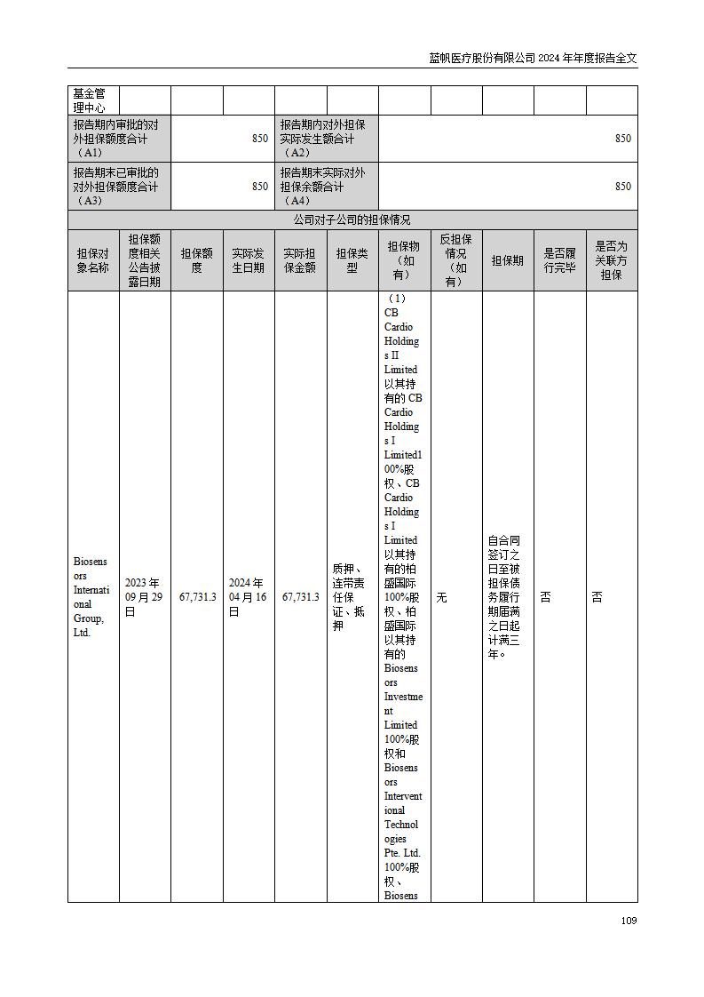 13-2024年年度报告_109