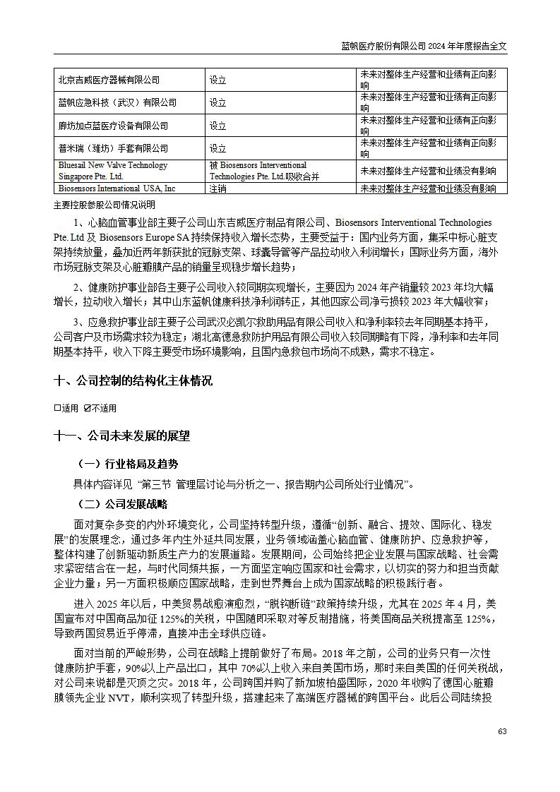 13-2024年年度报告_63