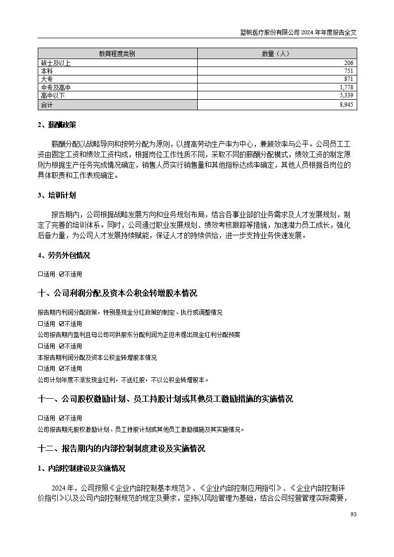 13-2024年年度报告_93