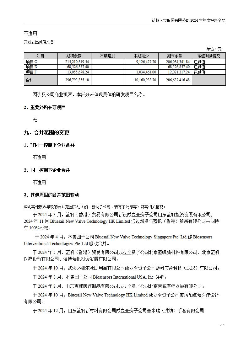 13-2024年年度报告_225