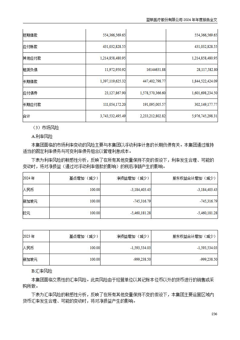 13-2024年年度报告_236