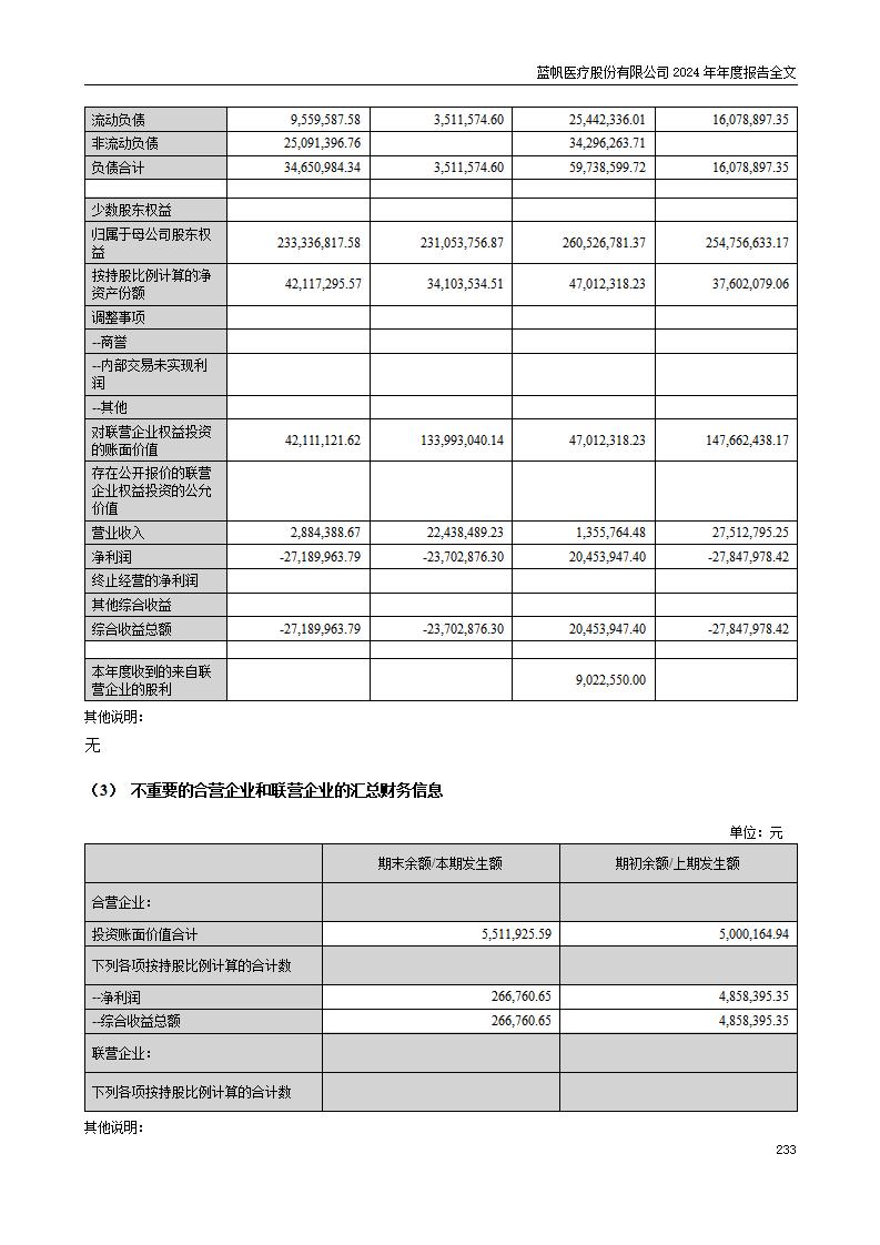 13-2024年年度报告_233