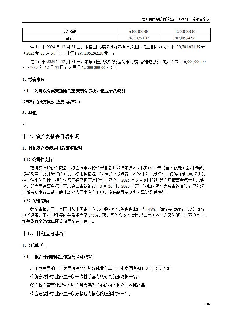 13-2024年年度报告_246