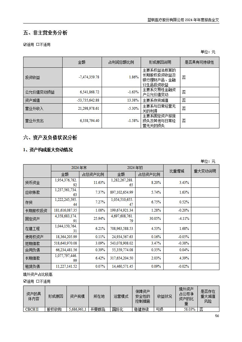 13-2024年年度报告_56