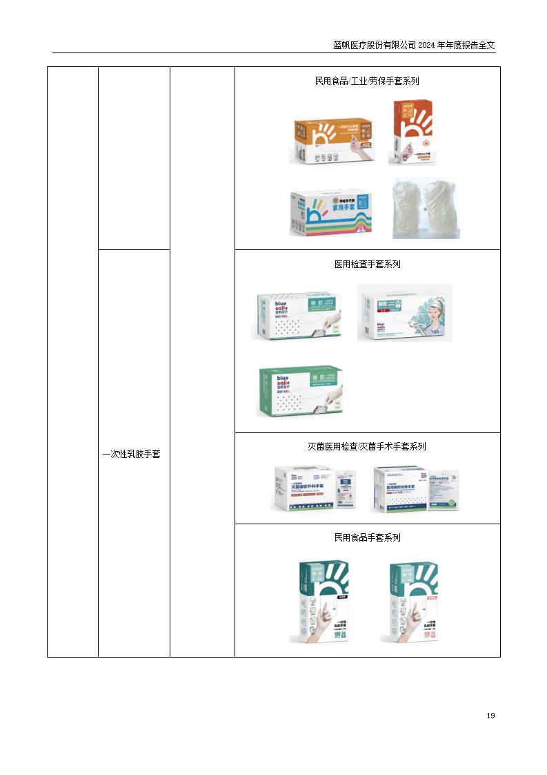 13-2024年年度报告_19