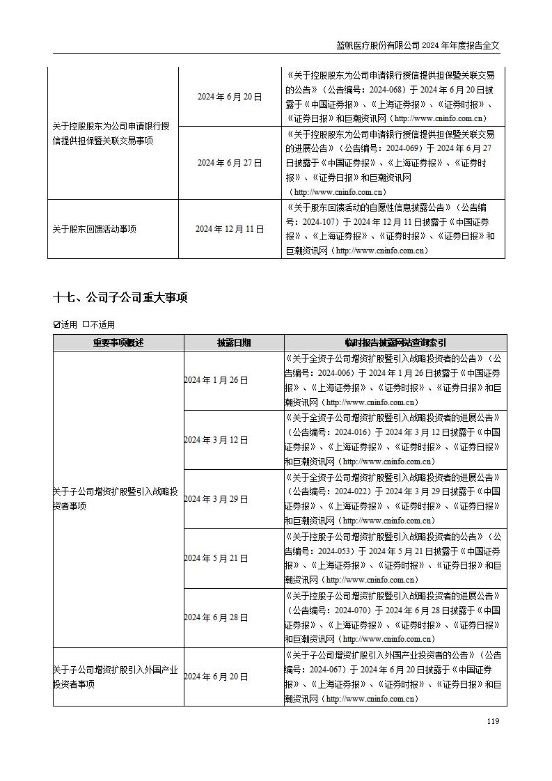 13-2024年年度报告_119
