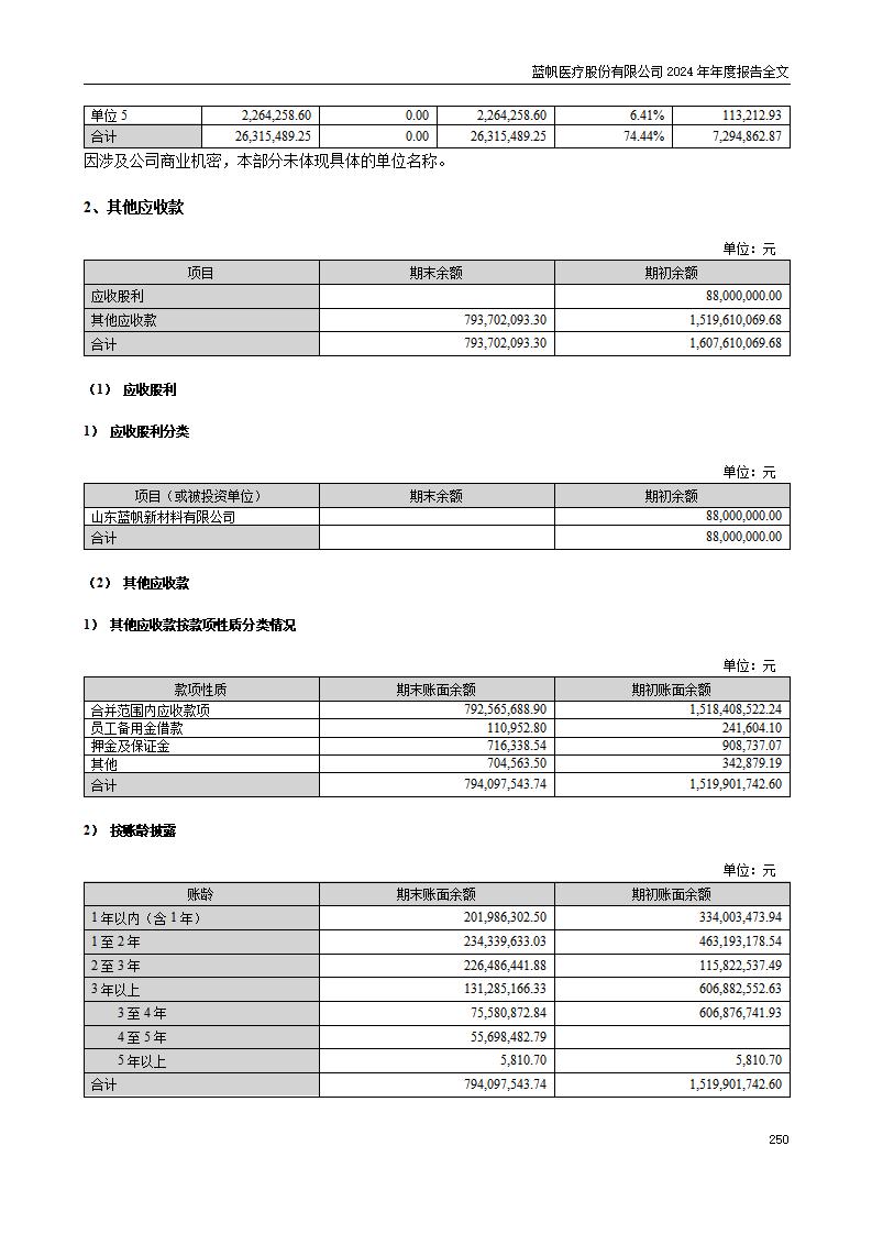 13-2024年年度报告_250