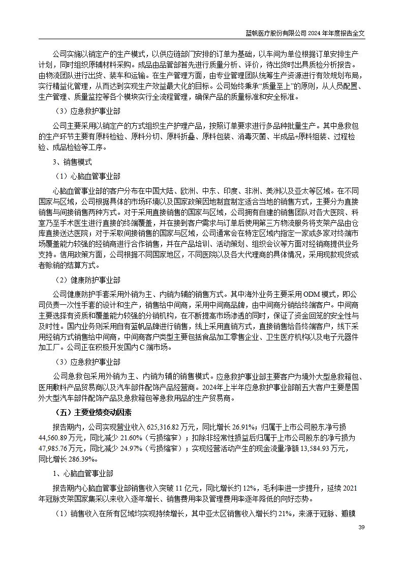 13-2024年年度报告_39