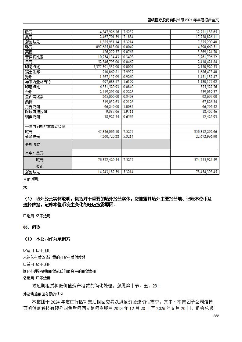 13-2024年年度报告_222