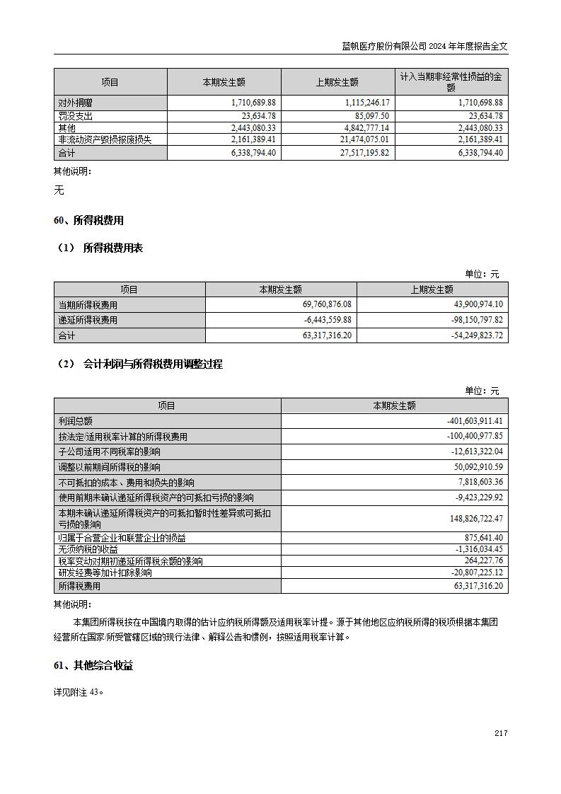 13-2024年年度报告_217