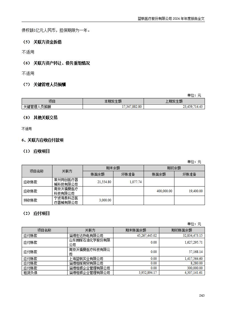 13-2024年年度报告_243