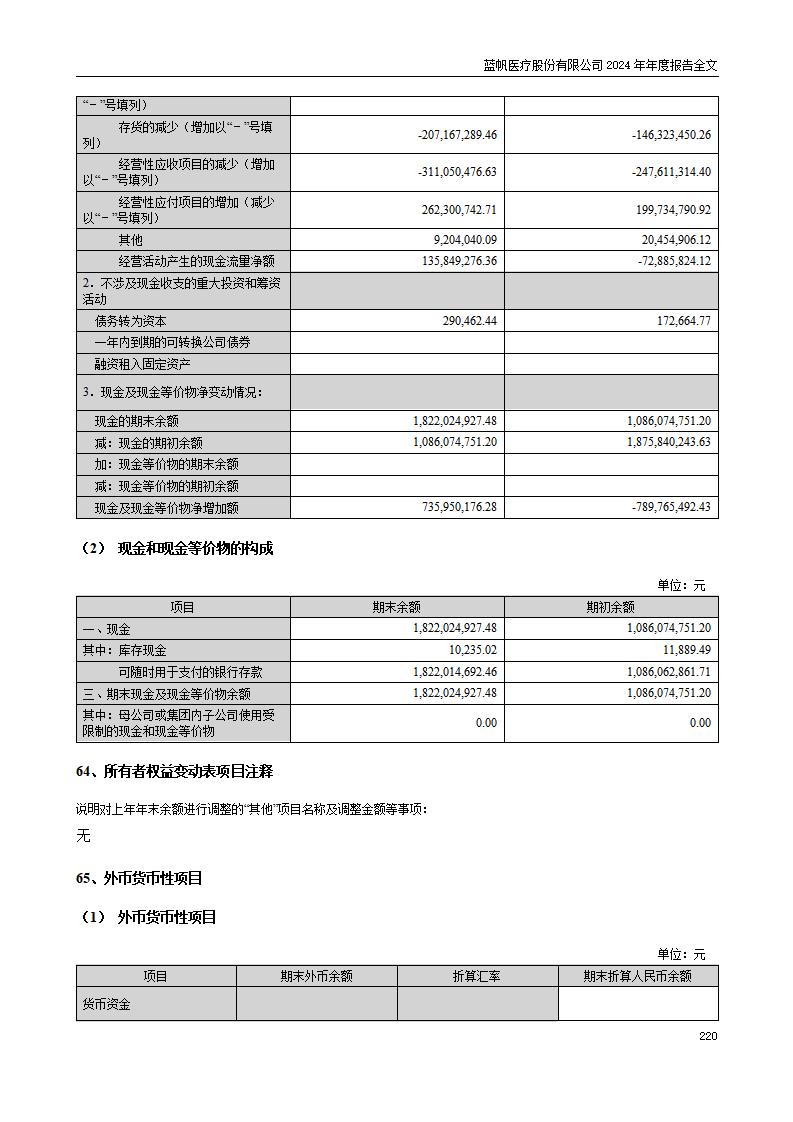 13-2024年年度报告_220