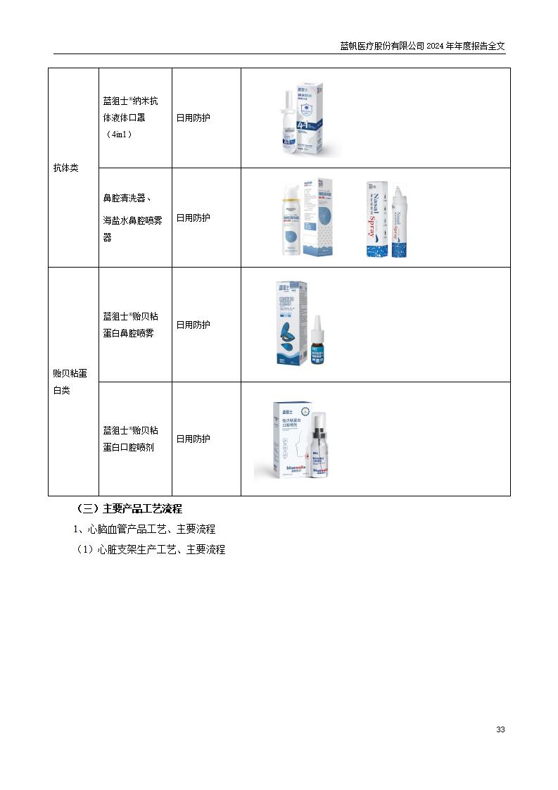 13-2024年年度报告_33