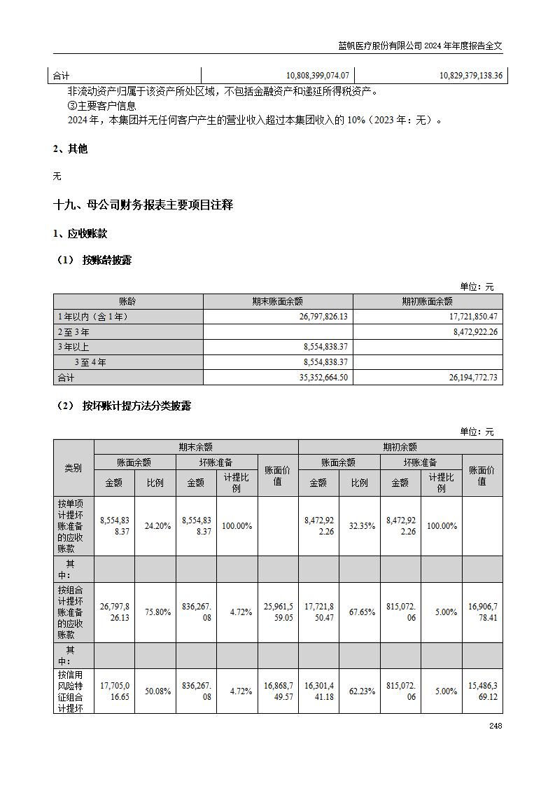 13-2024年年度报告_248