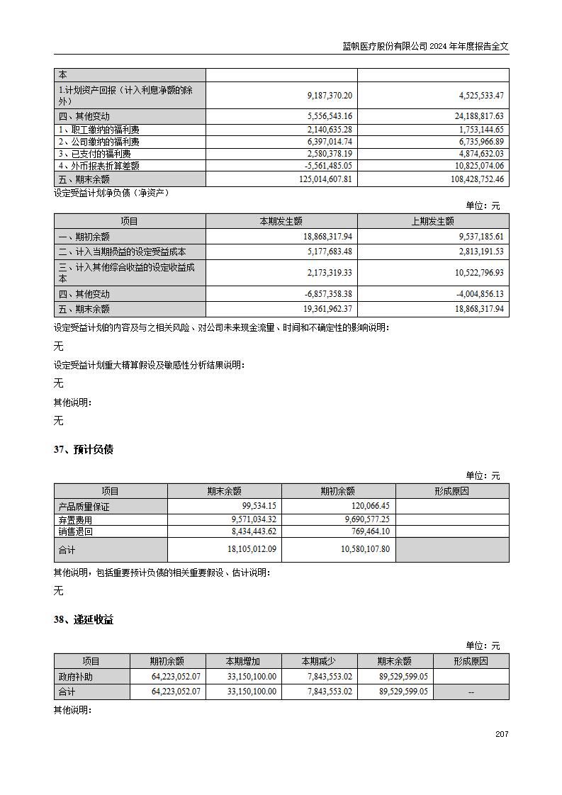 13-2024年年度报告_207
