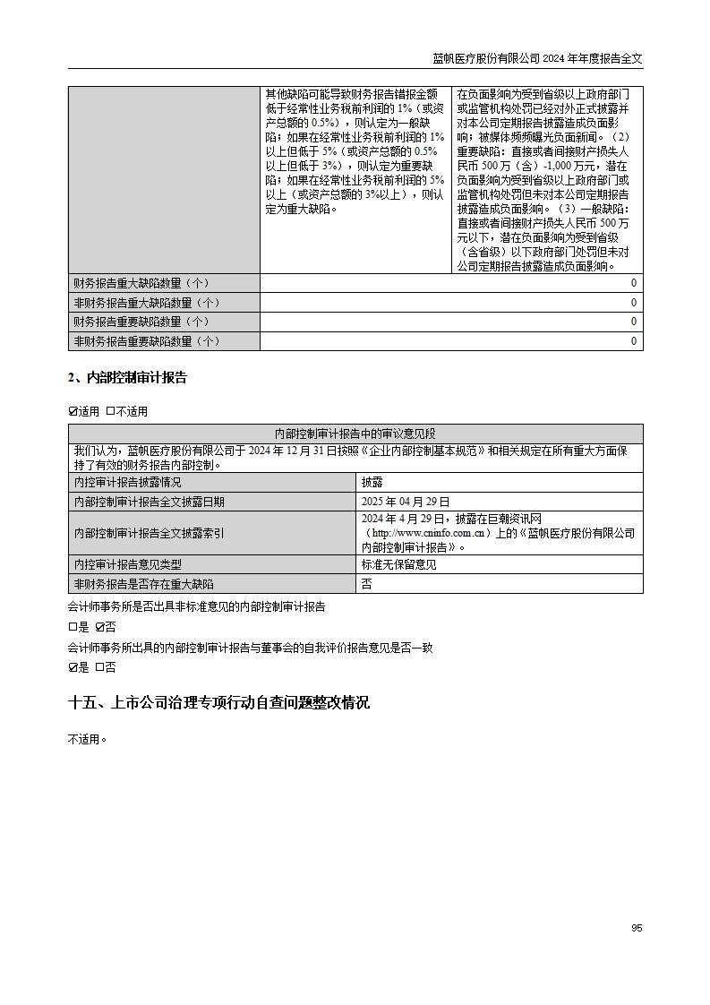 13-2024年年度报告_95