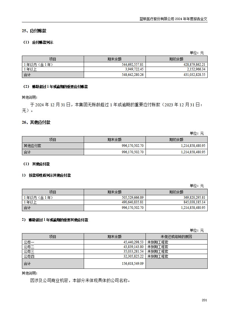 13-2024年年度报告_201