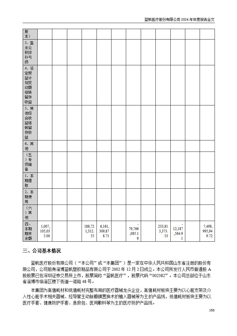 13-2024年年度报告_158