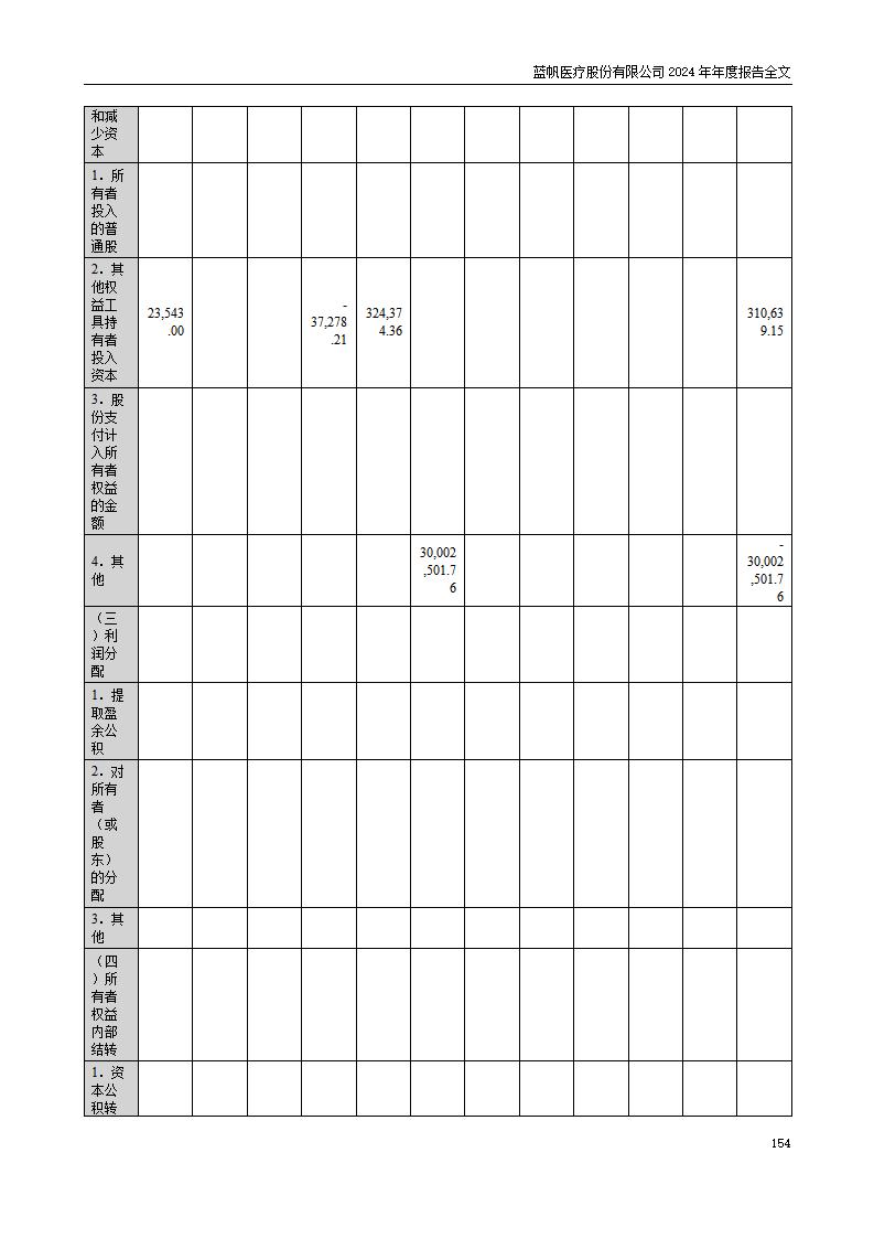 13-2024年年度报告_154