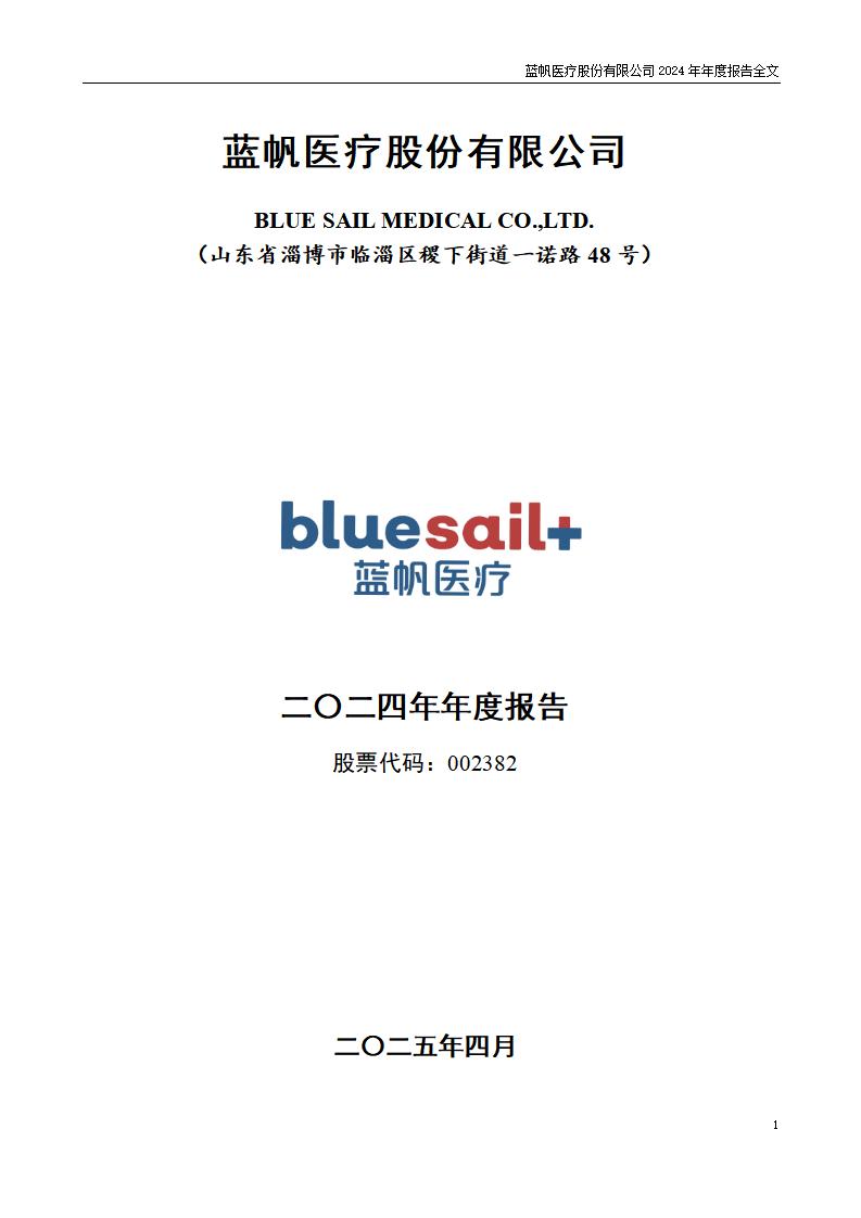 13-2024年年度报告_01