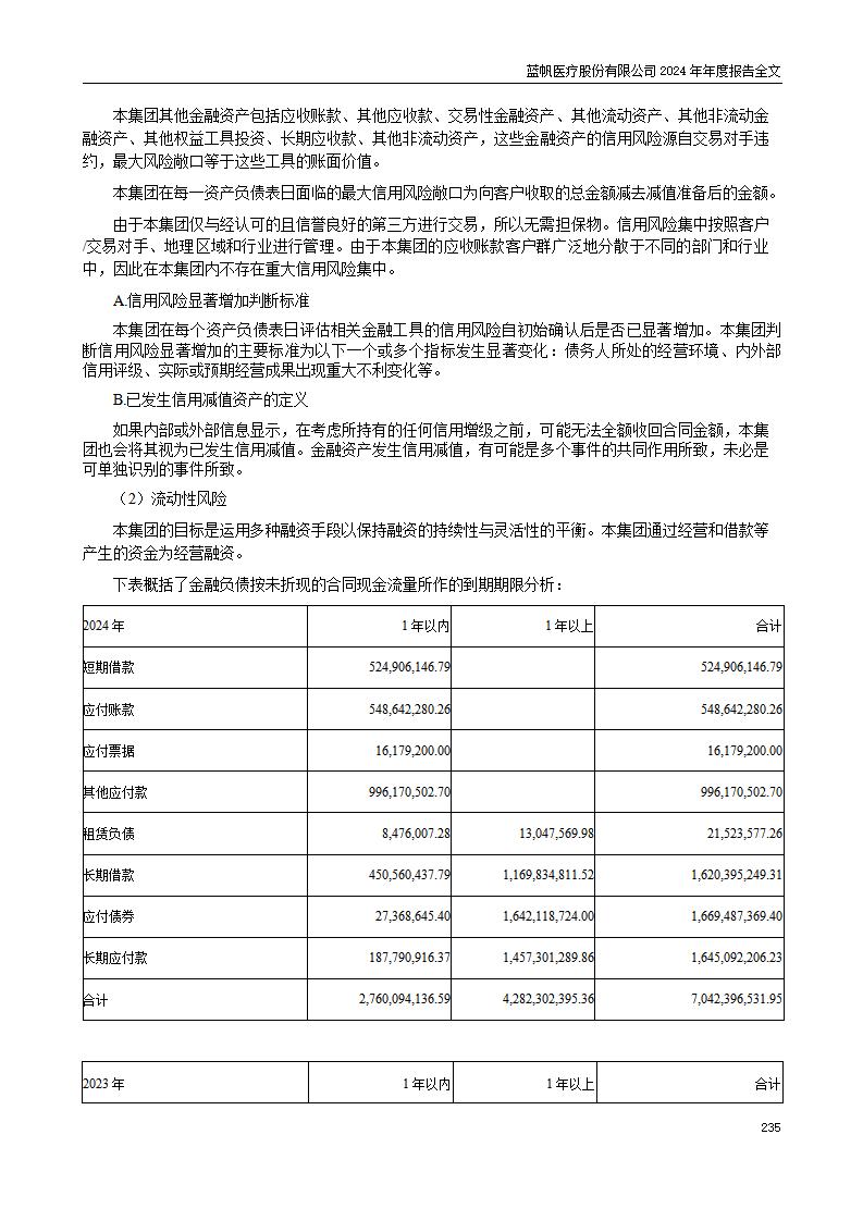 13-2024年年度报告_235