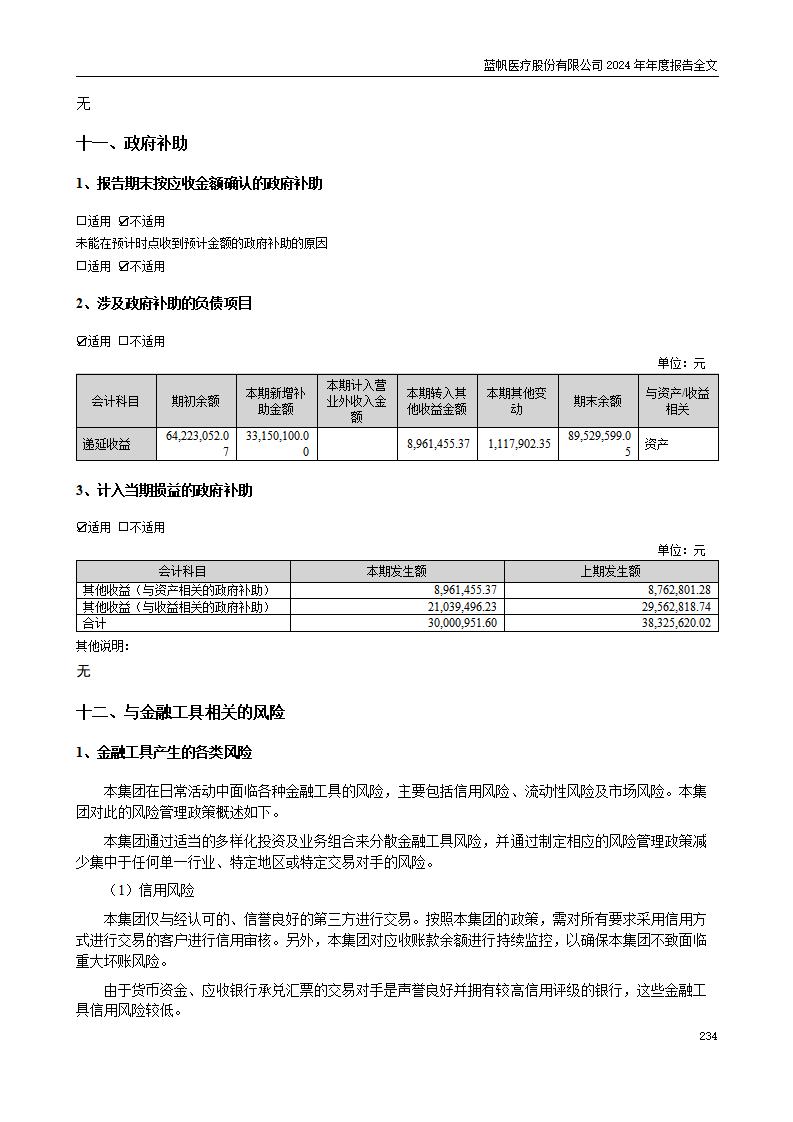 13-2024年年度报告_234