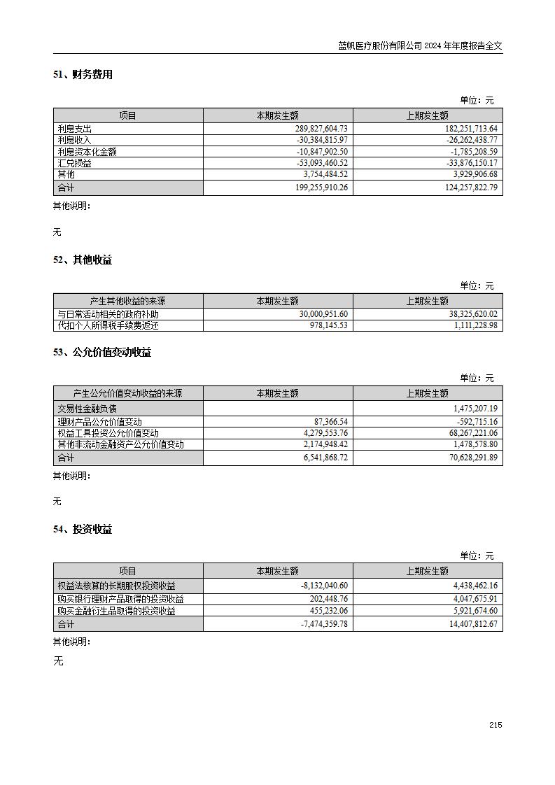 13-2024年年度报告_215