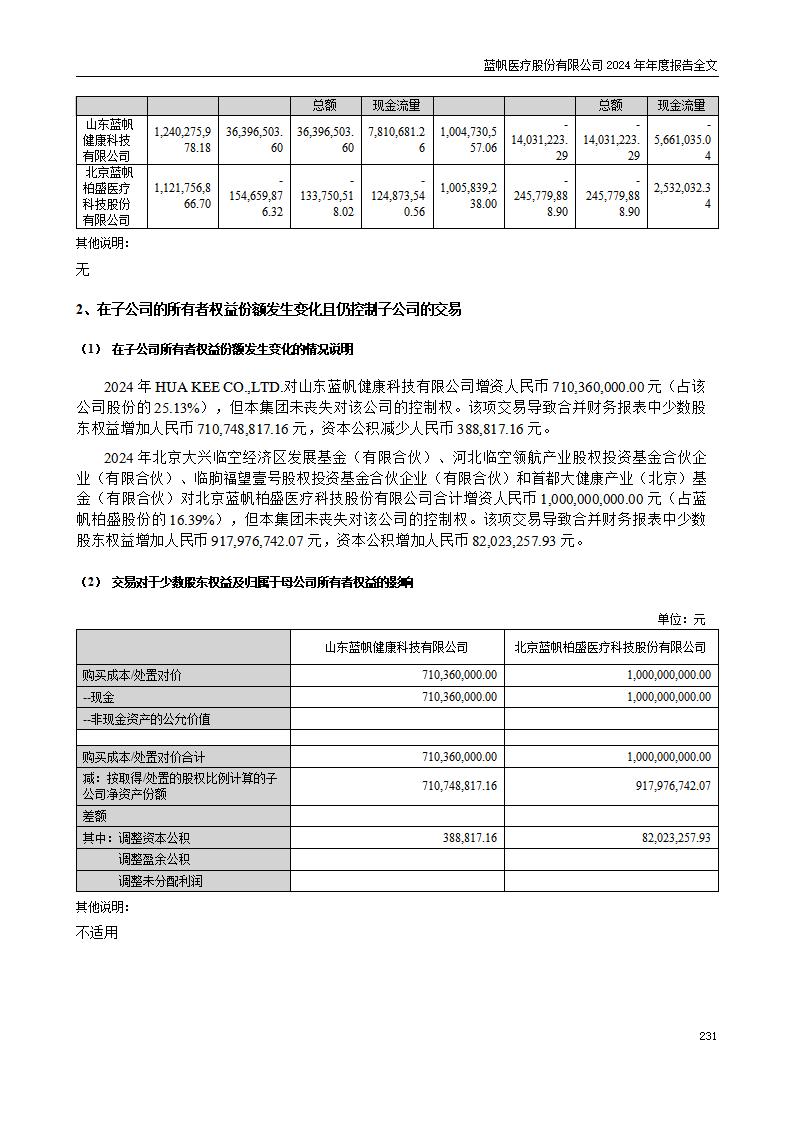 13-2024年年度报告_231