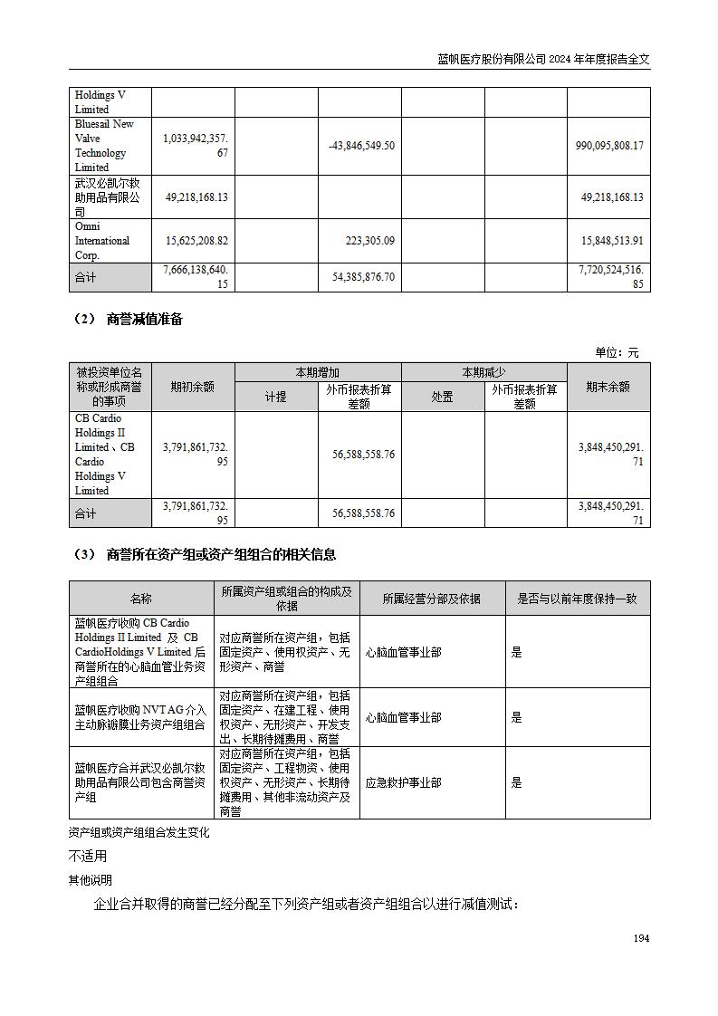 13-2024年年度报告_194