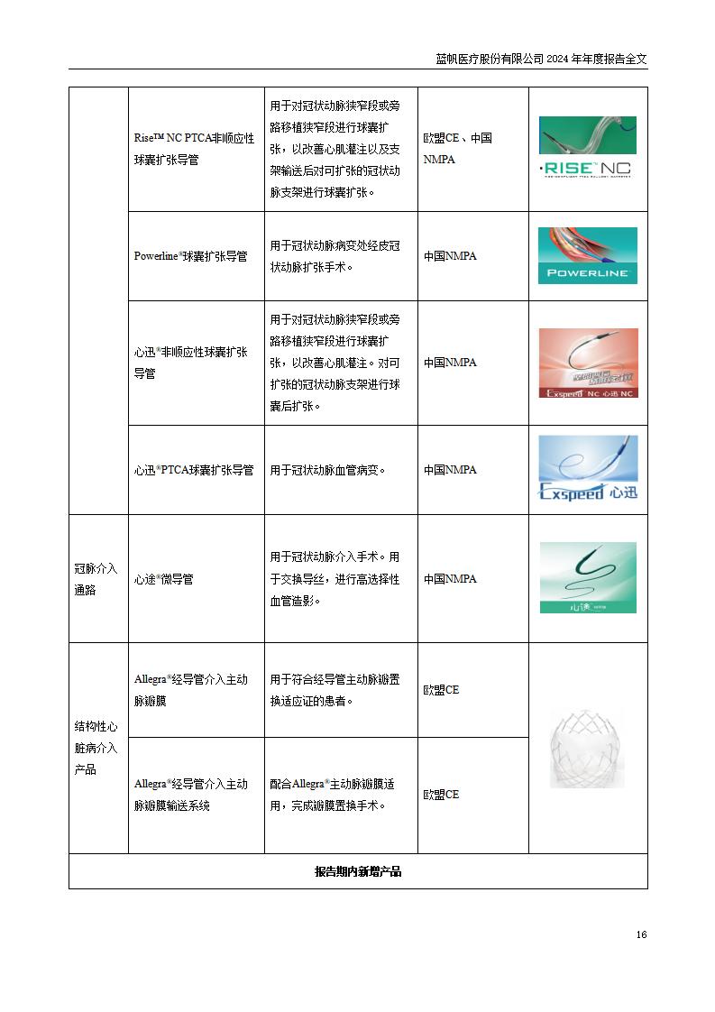 13-2024年年度报告_16
