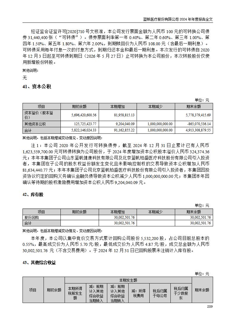 13-2024年年度报告_209