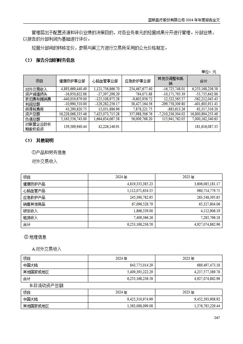 13-2024年年度报告_247