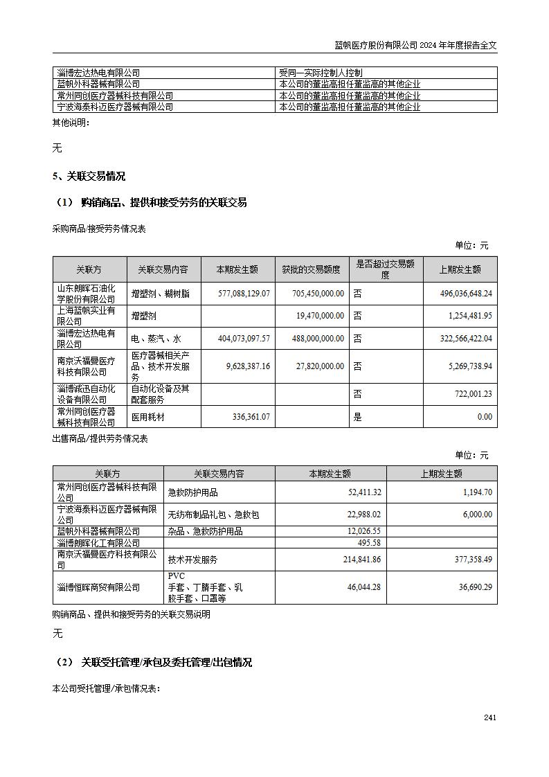13-2024年年度报告_241