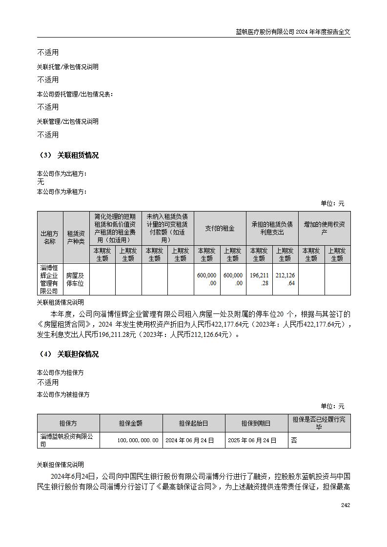 13-2024年年度报告_242