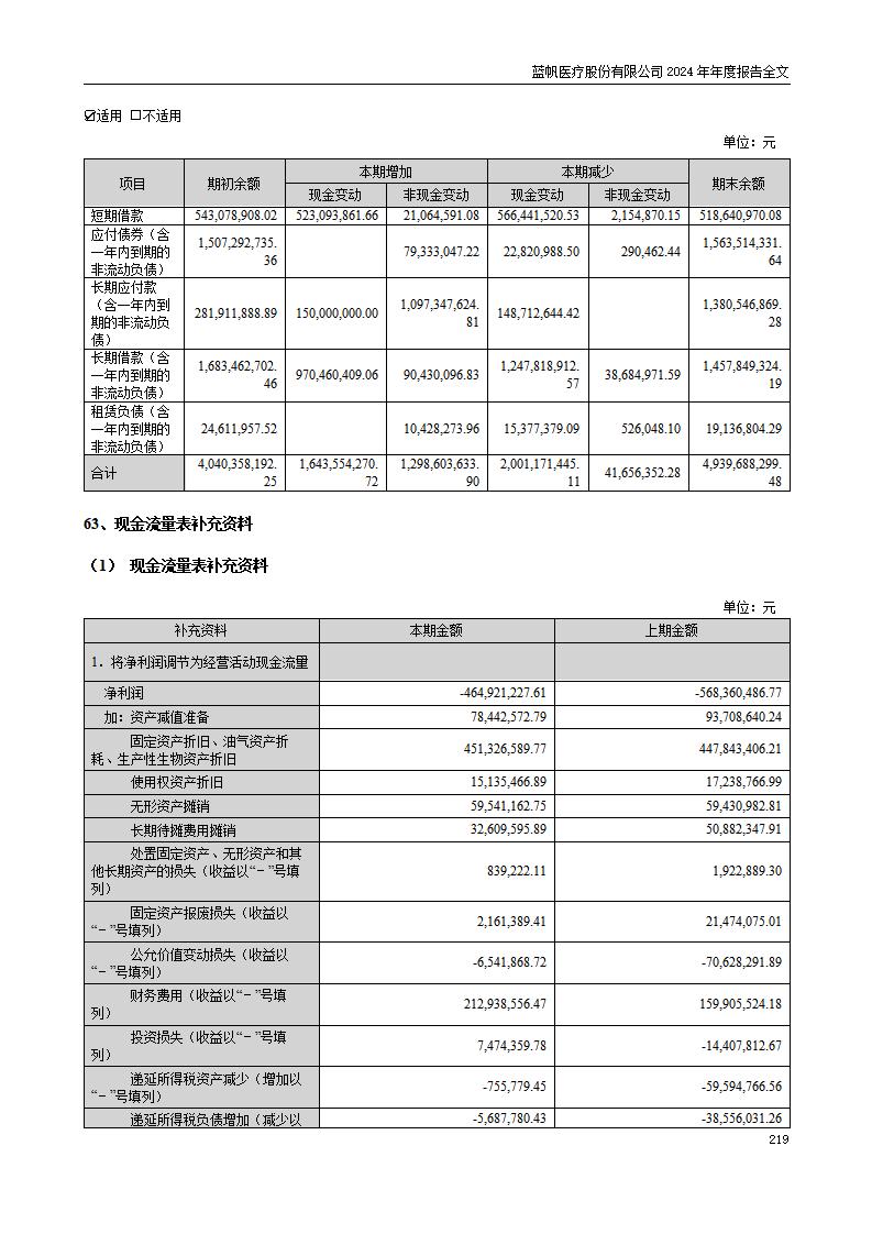 13-2024年年度报告_219