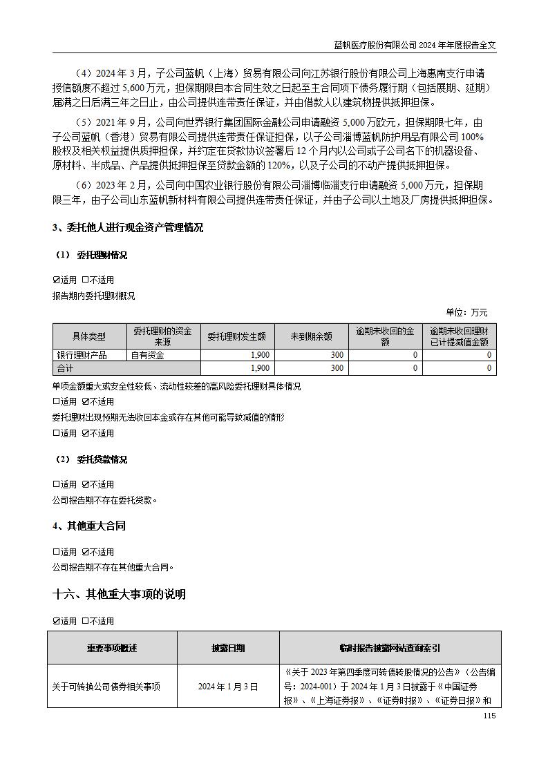13-2024年年度报告_115