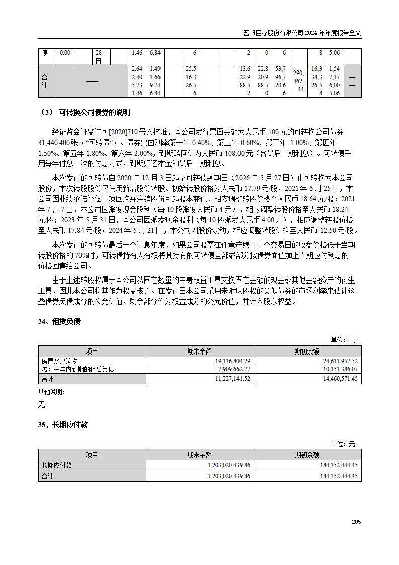 13-2024年年度报告_205