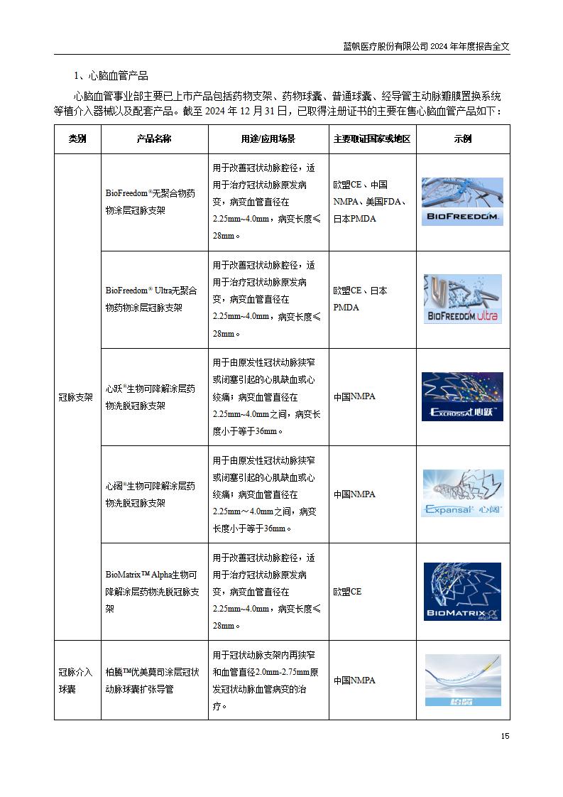 13-2024年年度报告_15
